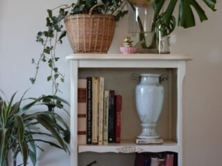 Styled bookshelf with curated books, plants, and decor objects