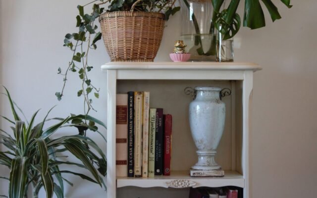 Styled bookshelf with curated books, plants, and decor objects
