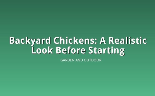 Illustration of a secure backyard chicken coop with fencing and predator proof wire
