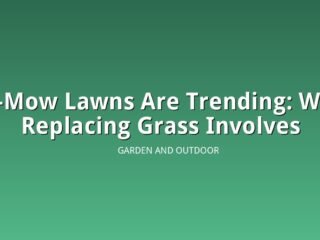 Illustration of a lush no-mow lawn alternative groundcover in a backyard