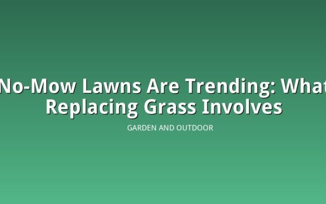 Illustration of a lush no-mow lawn alternative groundcover in a backyard