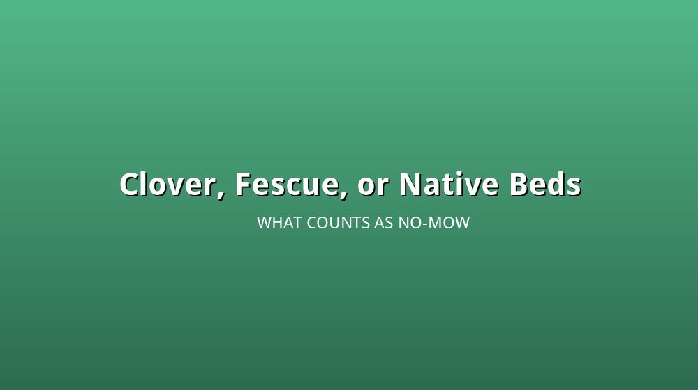 Illustration comparing clover, fine fescue, and native plant beds as no-mow lawn alternatives