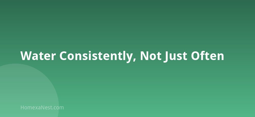 Water Consistently, Not Just Often