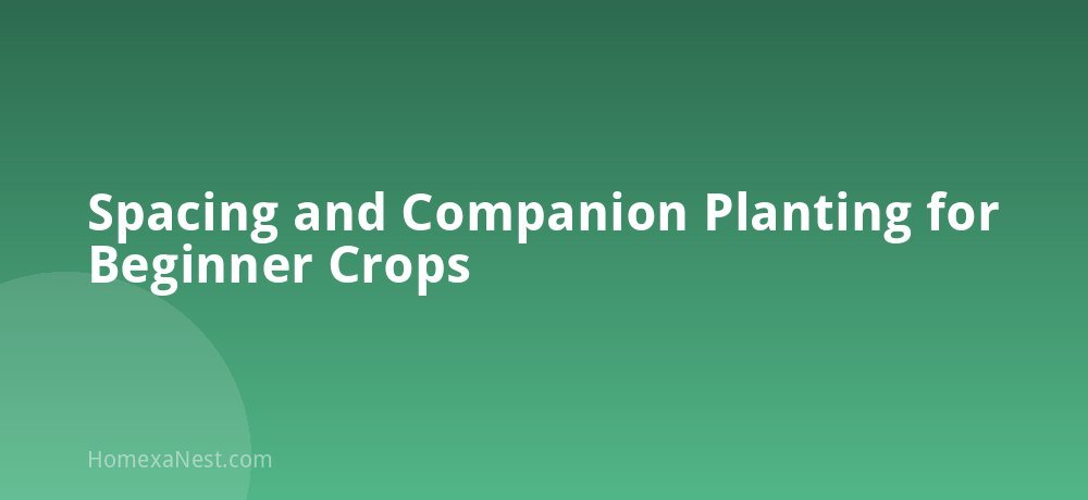 Spacing and Companion Planting for Beginner Crops