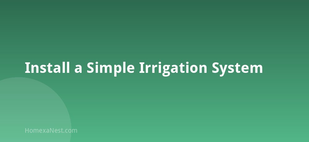 Install a Simple Irrigation System