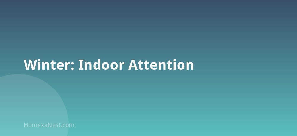 Winter: Indoor Attention